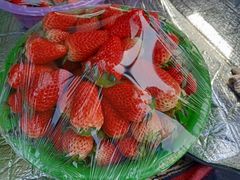 -胡家庙水果批发市场