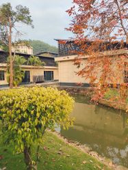 -爱帝宫月子中心(罗湖别墅院)