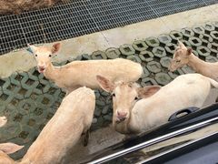 -南京金牛湖风景区