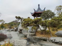-东莞植物园