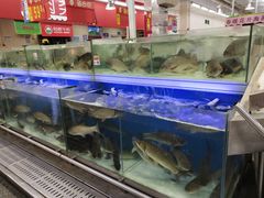 -沃尔玛(摩尔广场店)