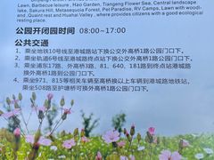 -上海滨江森林公园