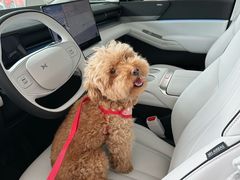 -小鹏汽车体验中心(苏州龙湖狮山天街店)