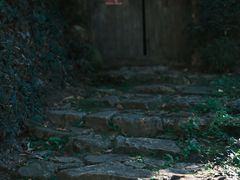 -杨家堂村