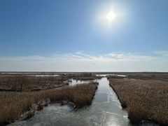 -盐城丹顶鹤湿地生态旅游区