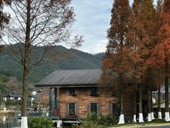 -晓琦农家菜馆·地道农家菜