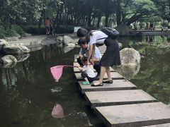-神仙树公园