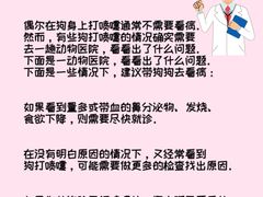 -瑞派申生动物医院·24H夜诊·国际动物医疗中心·骨外科(吴中路店)