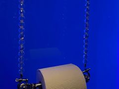 -Sketch(The Lecture Room & Library)