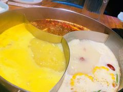 -青瓷火锅料理(西单大悦城店)