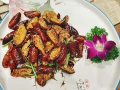 -聚缘堂·海鲜私房菜(松岭路店)
