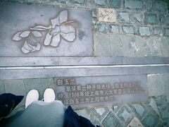 -徐家汇源景区-衡山坊