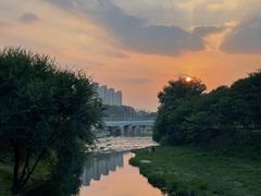 -将府公园