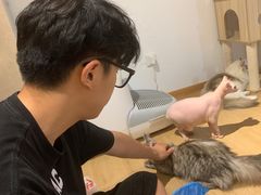-南京Hallo宠物乐园·哈罗犬舍·柴犬繁育基地