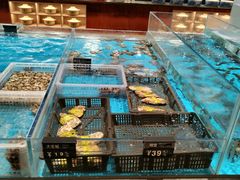 -艳阳天·非遗楚菜(武汉客厅店)