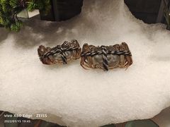-星伦多自助料理·涮烤一体(杭州来福士店)