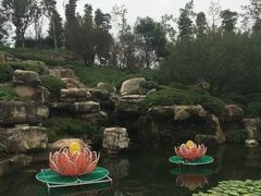 -秀丽东方