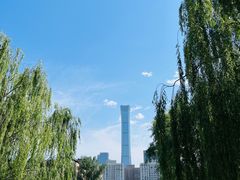 -团结湖公园