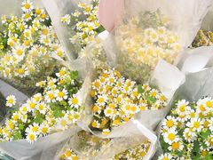 -循礼门鲜花花市(武汉循礼门店)