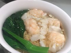 -南枝记