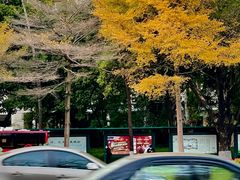 -深圳特区报业大厦
