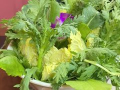 -爱新觉罗福臨火锅馆(万科滑雪场店)