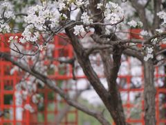 -国际非物质文化遗产博览园