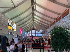 -丽江三义国际机场