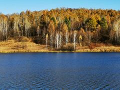 -五营红松林海景区