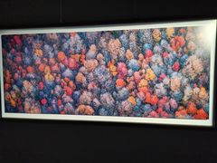 -罗红摄影艺术馆