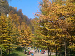 -官滩沟风景区