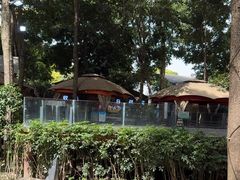 -二荆条·蜀鲜汇城市森林火锅