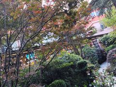 -阳光山水江湖菜馆(西山龙门店)