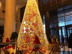 -长沙富力万达文华酒店