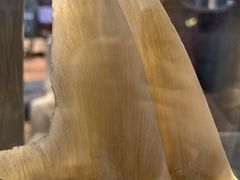 -东海海鲜酒家(流花店)