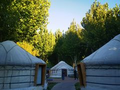 -九十九顶毡房(阜石路店)