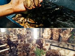 -大头椰·椰子鸡火锅(南宁万象城店)