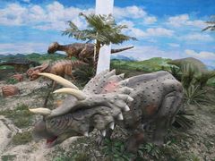 -吉林省自然博物馆