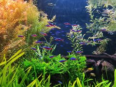 -上海海洋水族馆