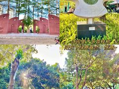 -荔香公园