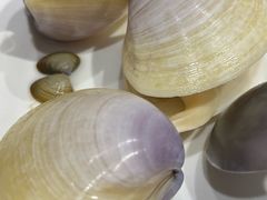-凯华海鲜火锅·传承三十六年