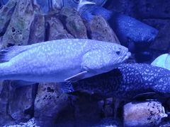 -波塞冬旅游度假区