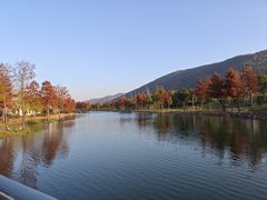 -滆湖低碳生态公园