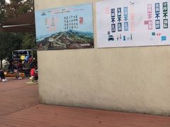 -南翔镇银翔湖公园