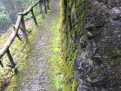 -神农架香溪源景区