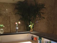 -水木谷养生水汇