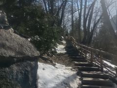 -米堆冰川