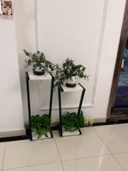 -香秀空间科技抗衰·美容中心