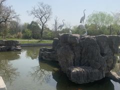 -苏州太湖国家湿地公园
