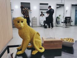 点击看大图 -Y-STUDIO原理